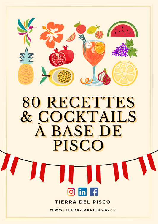 livret numérique pisco