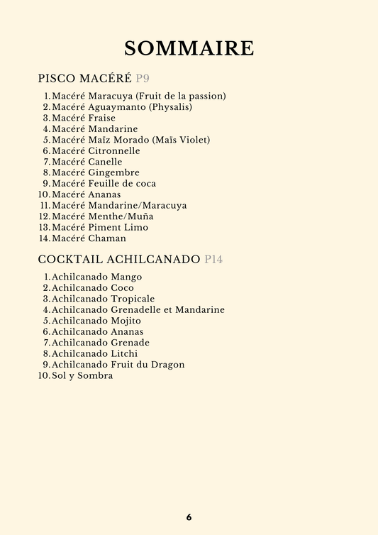 livret numérique pisco 6